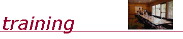 Consulting & Training